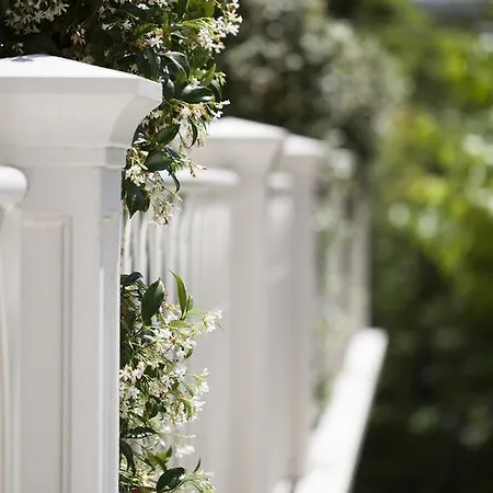 Gala ريتشيوني